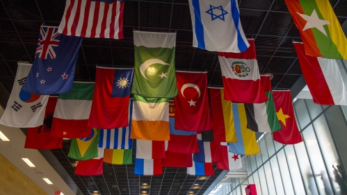 Flag
