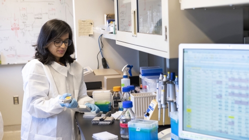 Life-Sciences-and-Public-Health