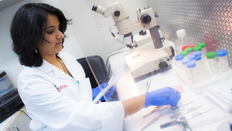 Earning Academic Credit for an Internship Career Exploration and Success