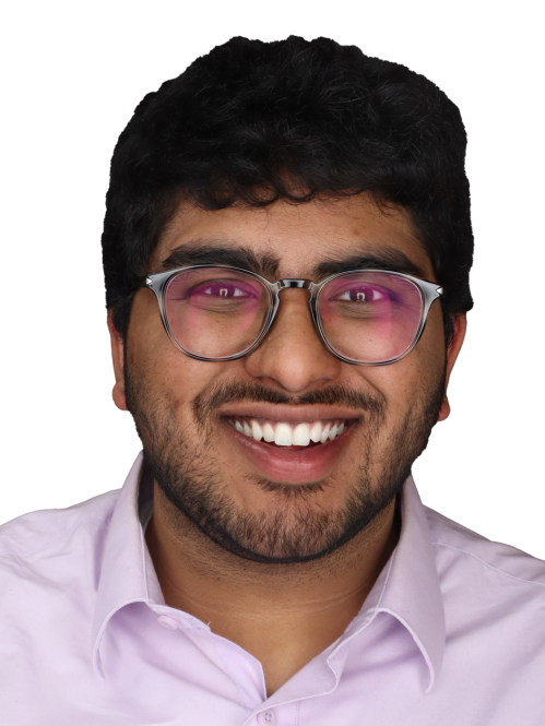 Taha F. Ali
