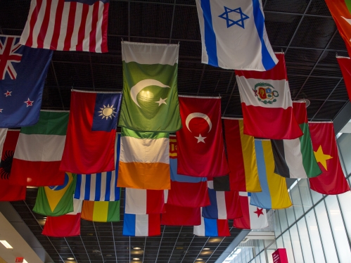 Flag