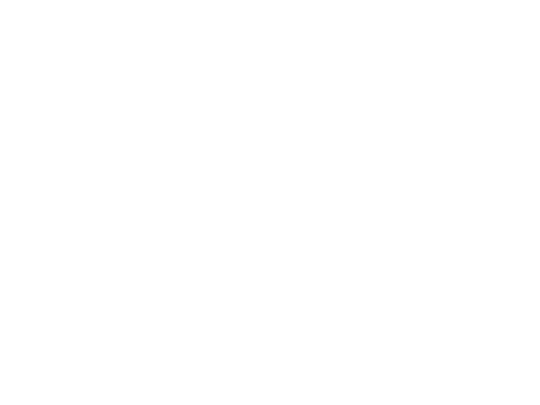 White Capital One logo